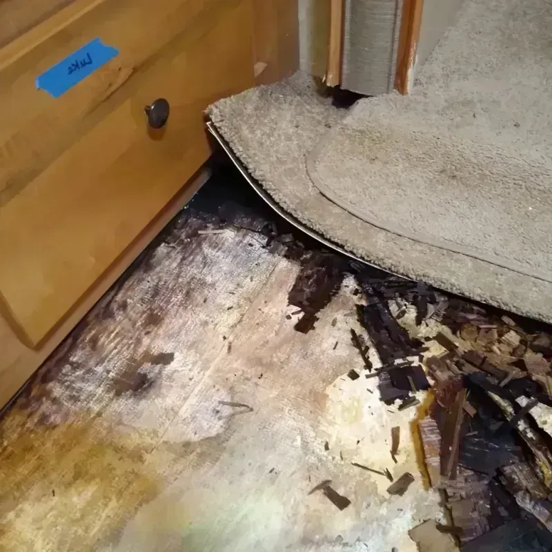 Best Wood Floor Water Damage Service in Wabash, IN